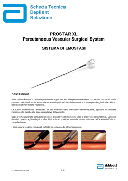 Scheda Tecnica Depliant Relazione ( 67kB)