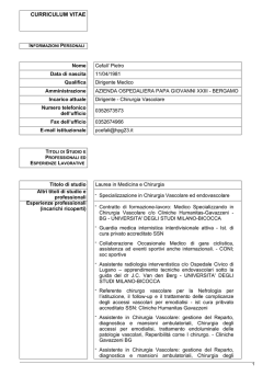 Pietro Cefalì CV in formato europeo