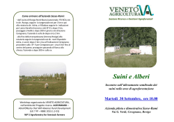 invito workshop WP 5_AG_sasserami_30_09_14