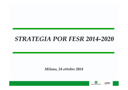 Presentazione strategia POR FESR 2014