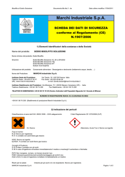 SDS Sodio Bisolfito soluzione