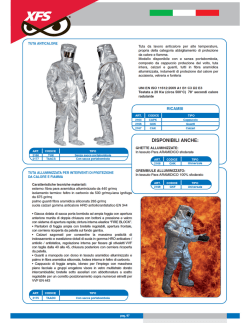 Indumenti e caschi di protezione al calore