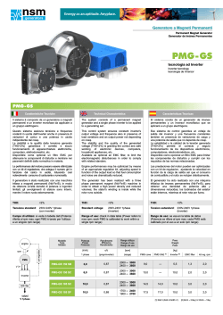PMG-GS - NSM Generators