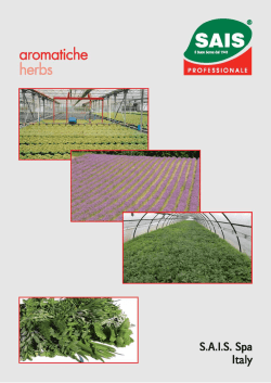 brochure aromatiche 2010