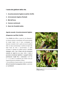 documento allegato - Provincia di Milano