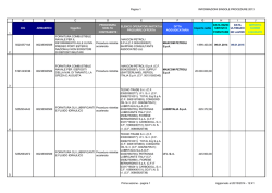 Informazioni singole procedure 2013