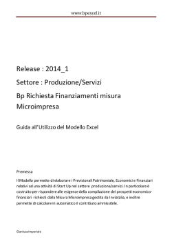 Guida al Modello Excel BP Microimpresa