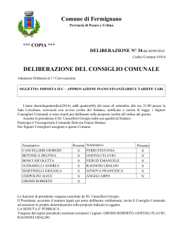 deliberazione del consiglio comunale