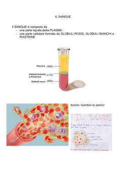 Il sangue (PDF)