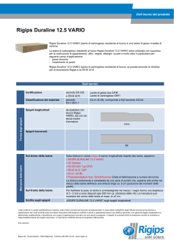 Rigips Duraline 12.5 VARIO