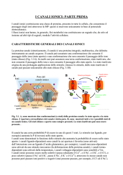 i canali ionici: parte prima - Universit&agrave; degli Studi di Pavia
