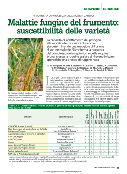 Malattie fungine del frumento: suscettibilità delle varietà