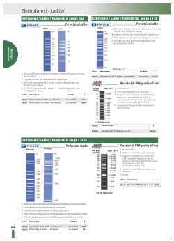 Elettroforesi - Ladder