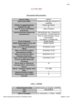 RdO_603797_RiepilogoPA - Dipartimento della Protezione Civile