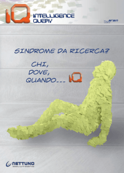 IQ brochure - Nettuno Solutions