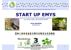 Balboni START UP EMYS workshop GIAPP