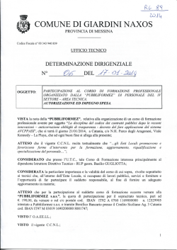 determina IV settore n. 06 del 17.01.14