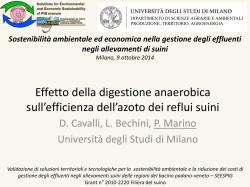 effetto digestione anaerobica su efficienza azoto - SEES-PIG