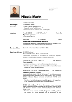 C.V. Nicola Marin - Consigliere