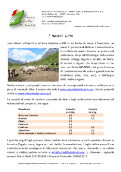 Download - Home - Terra Delle Dolomiti