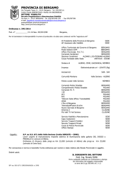 SP ex SS 671 ORDINANZA n 295