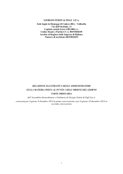 Relazione Amministratori parte ordinaria 07-11-2014