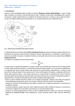 DOE - Metodologia delle Superfici di Risposta (Belluco
