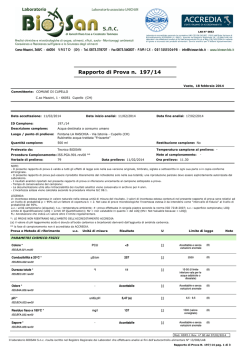 197/14 Rapporto di Prova n.