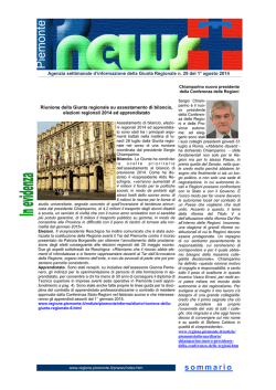 CHIAMPARINO_Pnews n. 29 del 1° agosto 2014.pub
