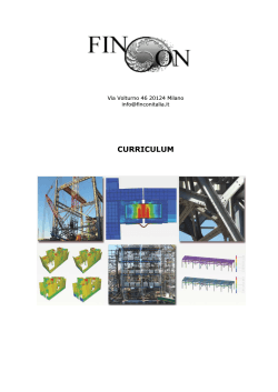 CURRICULUM - Fincon Consulting Italia Srl