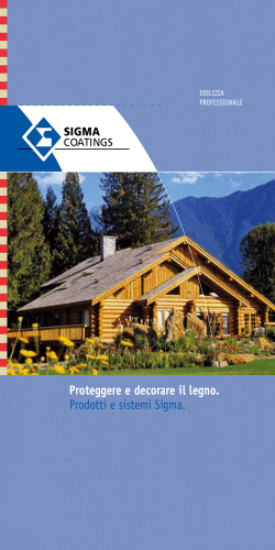 Proteggere e decorare il legno. Prodotti e sistemi