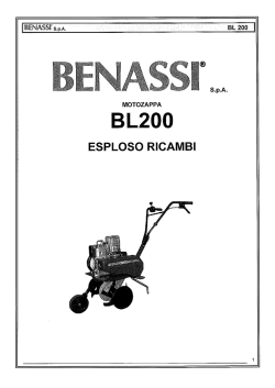 BL200 - Ribe