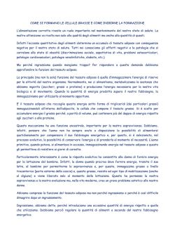 Introducono: Relazione: Jean Marie Biju