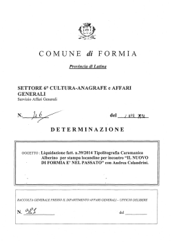 Indagine conoscitiva sul Piano di investimenti per l`Europa