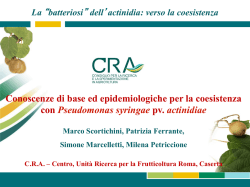 DOC230315 - cddeamicisct.gov.it