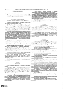 Regolamento Corsari Volanti 2015