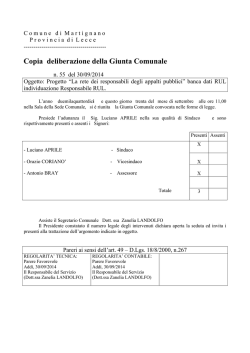 Il consulente tascabile. Il team