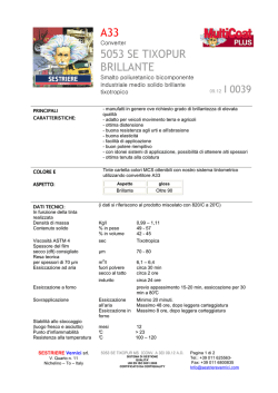 Il contemplato. Testo spagnolo a fronte