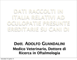 I comandamenti. Non commettere adulterio