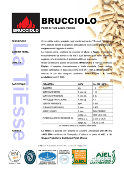 Il bastone dei miracoli