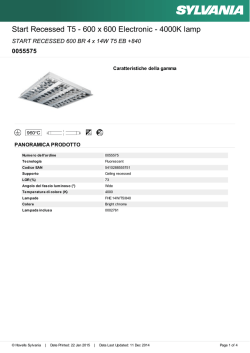 IL PARADOSSO DELLA SINDONE
