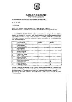 Delibera di Consiglio Comunale n. 33