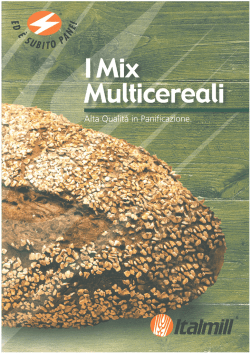 Italmill i mix multicereali