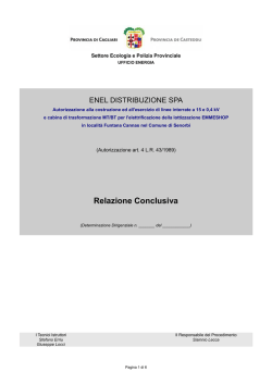 RELAZIONE CONCLUSIVA 507236