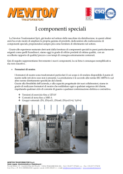 I Componenti Speciali - Newton Trasformatori Spa