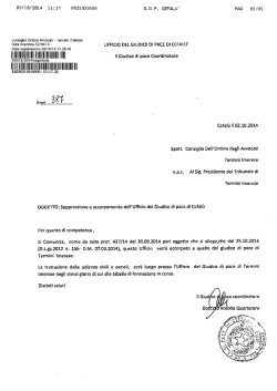 il IllllllillllllllIlilllllillllllilil lilli Il Giudice oo oooo Coordinatore