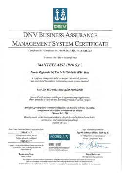 DN V BUSINESS ASSURANCE