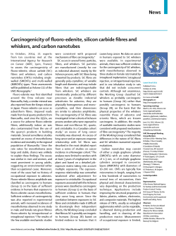 Carcinogenicity of fluoro-edenite, silicon carbide fibres and whiskers