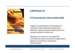 CAPITOLO IV Il Commercio Intra-settoriale