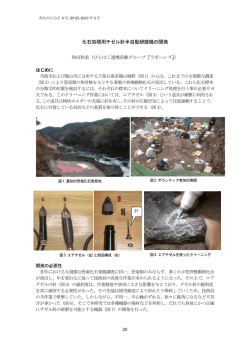 化石処理用チゼル針半自動研磨機の開発